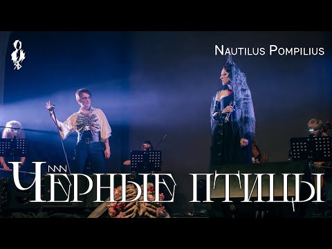 Видео: Ярослав Баярунас, Анна Тесс - Чёрные птицы (cover «Nautilus Pompilius»)