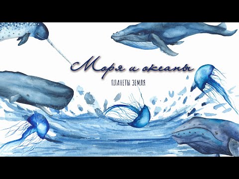 Видео: МОРЯ И ОКЕАНЫ ПЛАНЕТЫ ЗЕМЛЯ