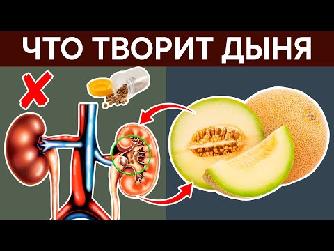 Видео: Даже один кусочек ДЫНИ, может вызвать НЕОБРАТИМЫЕ ПРОЦЕССЫ. Самая полезная часть дыни...