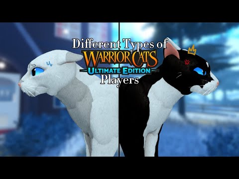 Видео: Различные типы игроков WCUE