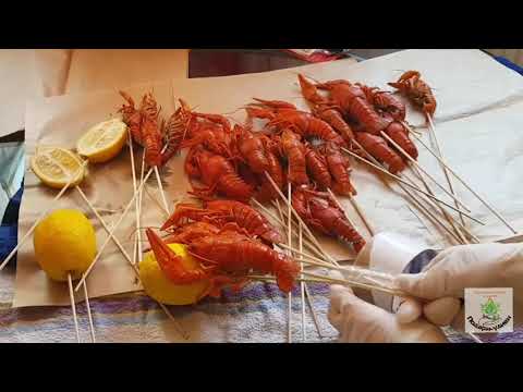 Видео: Делаем букет из раков