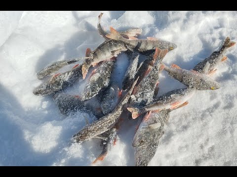 Видео: Таватуй  22. 02. 2024