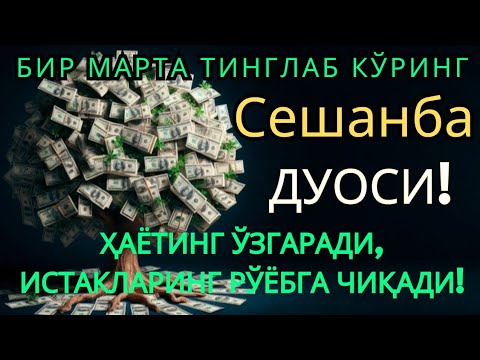 Видео: Сешанба куни Пайғамбар Муҳаммад ﷺ дуоси, инша Аллоҳ, омонлик, бойлик ва муваффақият келтиради. 