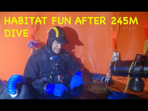 Видео: Веселье в Новой Зеландии 2020