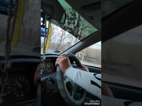 Видео: Баш-Кайыңды Көк бөрү 2019-ж