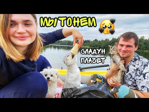 Видео: С КОТОМ ВХОД РАЗРЕШЁН! КОТ КЕВИН ПЛАВАЕТ НА ЛОДКЕ! СЛАДУН В ПАНИКЕ!