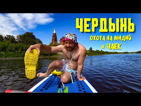 Видео: Гребу тапком, охочусь на мидий и чаек. 