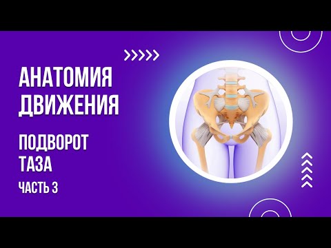 Видео: Подворот таза. Часть 3