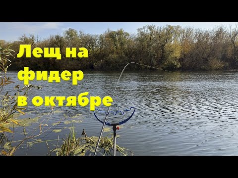 Видео: Ловля леща в октябре на реке Дон