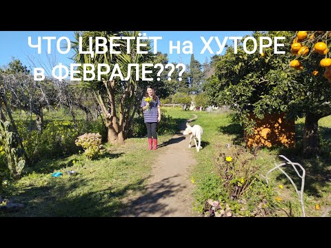 Видео: 61.  ЖИЗНЬ на сицилийском ХУТОРЕ.  Суп для бедных.