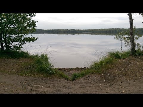 Видео: озеро Большое.  Всеволожск