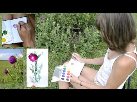 Видео: Мастер-класс #19 Как делать пятиминутные зарисовки с натуры акварелью