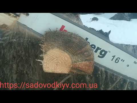 Видео: Обзор на цепь и шину камберг