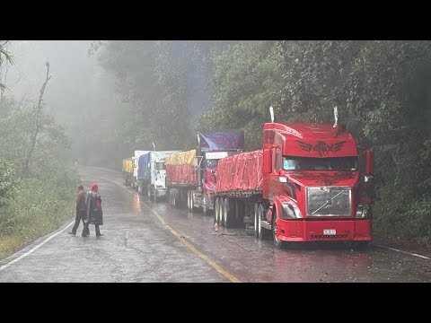 Видео: Это крайний изгиб улитки.