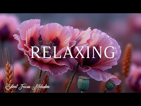Видео: Расслабляющие струны фортепиано и безмятежные мелодии челесты для глубокой релаксации и концентрации