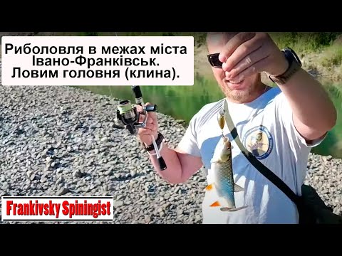 Видео: Риболовля в межах міста Івано-Франківськ. Ловим головня (клина).