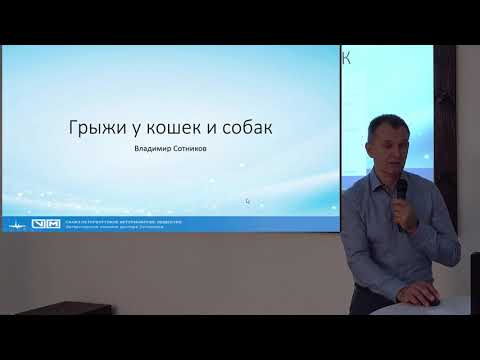 Видео: Грыжи у собак и кошек.