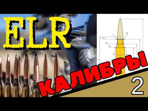 Видео: ELR Сверхдальняя стрельба. Гребенюк 2