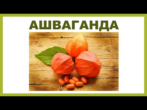 Видео: АШВАГАНДА (ashwagandha)