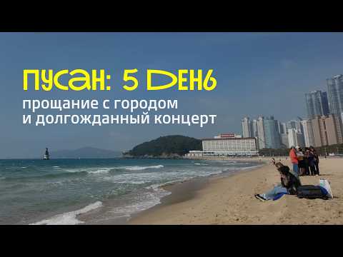 Видео: Корея: 5 часть | Берег Пусана, паста в Сеуле и концерт Coldplay
