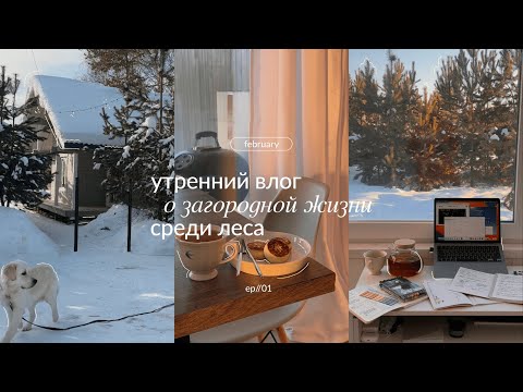 Видео: ЗАГОРОДНЫЙ ВЛОГ ⛅️ утренняя рутина, жизнь в доме в лесу и первое видео на канале!