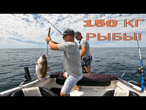 Видео: Поймали 150кг рыбы