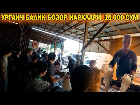 Видео: УРГАНЧ БАЛИК БОЗОР НАРХЛАРИ АРЗОНЧИЛИК | URGANCH BALIQ BOZORI #baliq_bozor