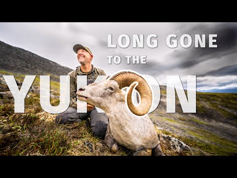Видео: Охота на овец и лосей в отдалённых каменных горах Юкона | THE ADVISORS: Давным-давно в Юконе