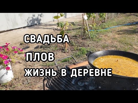 Видео: Жизнь в Деревне в Сербии. Готовим ПЛОВ. СВАДЬБА пела и плясала. 