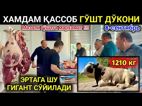 Видео: ХАМДАМ ҚАССОБ N⁰1 ГЎШТ ДЎКОНИ ЭРТАГА КАТТА ГИГАНТ БУҚА СЎЙИЛАДИ ХОРАЗМ УРГАНЧ ҒОЙБУ 8-сентября