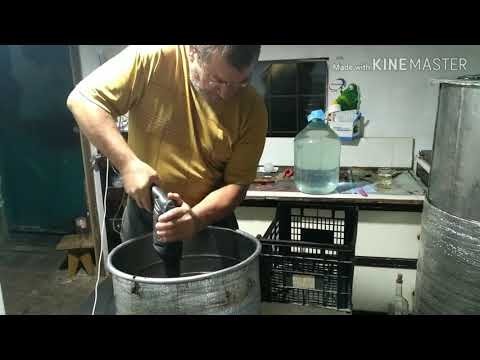 Видео: Часть №1 Вино по рецепту от Дедушки Валико ! Из винограда Лидия !