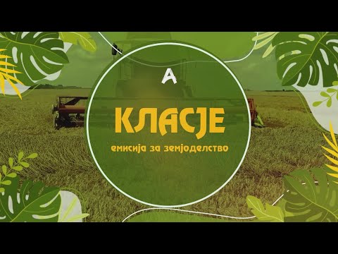 Видео: КЛАСЈЕ - епизода 3