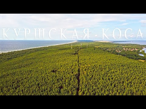 Видео: Куршская коса. Балтика, часть 4