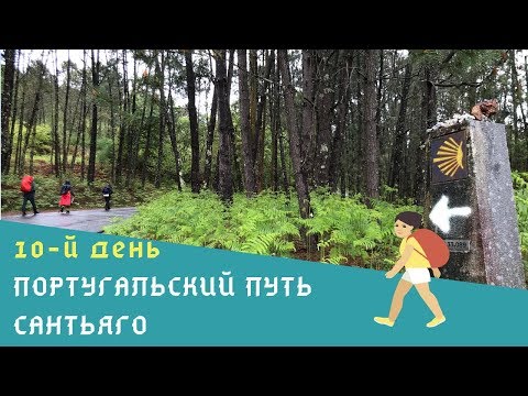 Видео: 10 день Португальского пути Сантьяго