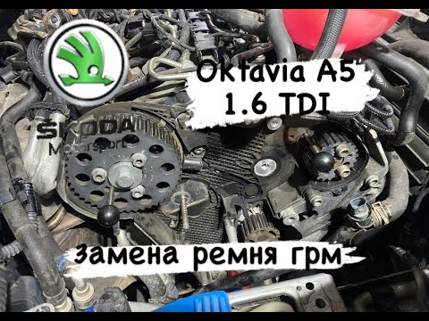 Видео: Skoda Oktavia A5 1.6 TDI замена ремня грм