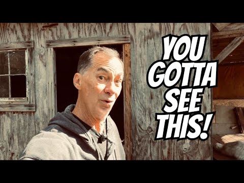 Видео: Вы не поверите, что я нашел…