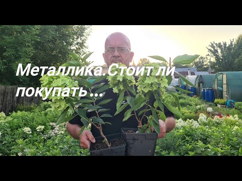 Видео: Металлика. Стоит ли покупать