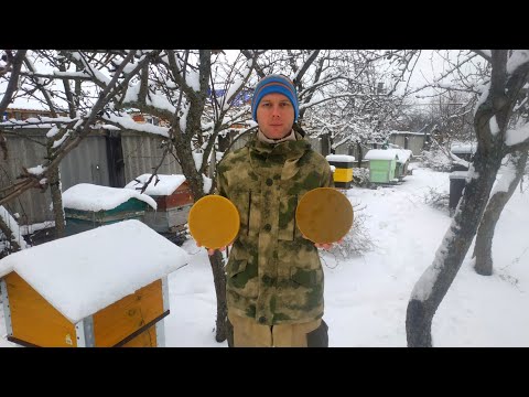 Видео: УРА!!! ВОСК ОЧИСТИЛСЯ))) 🍋🍋🍋🍋🍋🍋🍋🍋🍋🍋🍋🍋🍋🍋🍋🍋🍋🍋