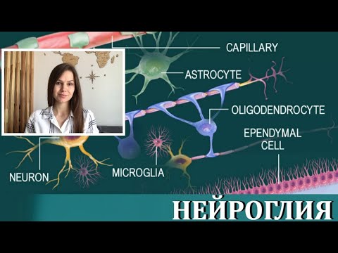 Видео: Нейроглия