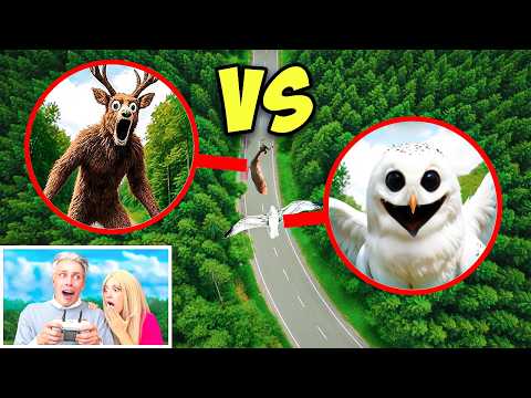Видео: МОЙ ДРОН СНЯЛ DEER MONSTER vs OWL MONSTER 99 Nights в Реальной Жизни!