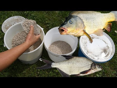 Видео: Прикормка для леща и трофейного карпа