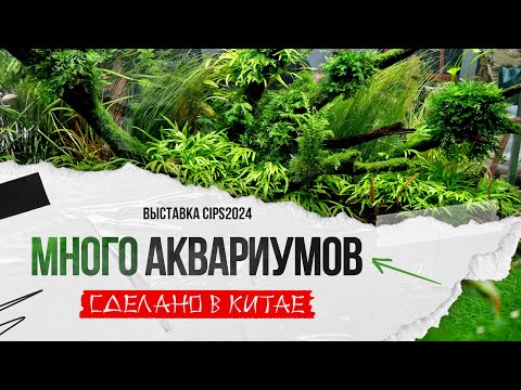 Видео: Аквариумы выставки CIPS 2024 Гуанчжоу
