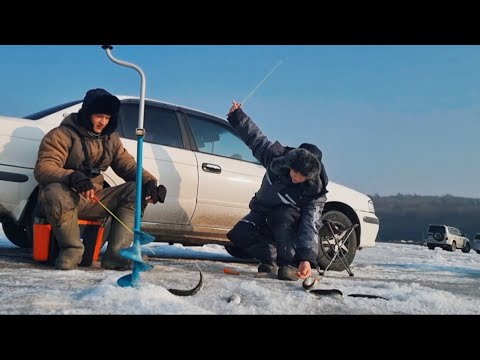 Видео: Зимняя Рыбалка! Ловля селёдки на самодур и махалки.
