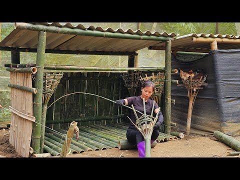 Видео: Покидаем город ради леса: молодая девушка строит новый курятник и живёт на природе