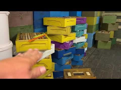 Видео: Отбираем корпуса, тележка апилифт Батыр от производителя Башпчелком.