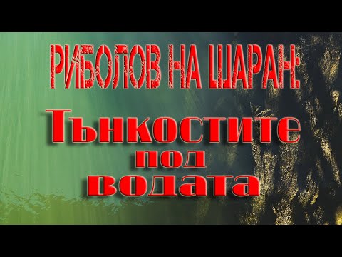 Видео: Риболов на шаран: Тънкостите под водата