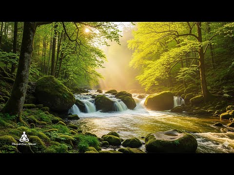 Видео: Терапия Глубокого Расслабления 🌿 Исцеляющая Музыка со Звуками Природы