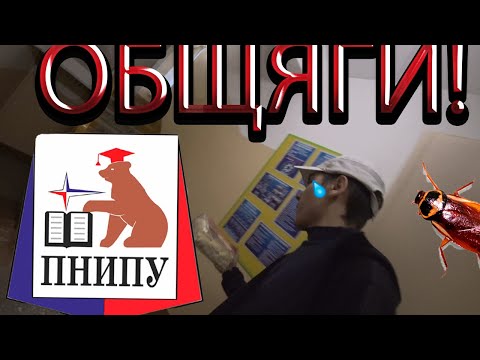 Видео: ТАРАКАНЫ ЗА**ЛИ !? // ОБЩАГИ В ПЕРМИ !? // СУРОВАЯ РЕАЛЬНОСТЬ!?