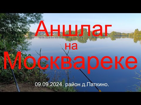 Видео: Аншлаг на Москвареке . д.Софьино.  д. Паткино. ДНТ София 09.09.2024.