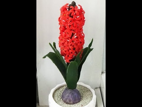 Видео: ГИАЦИНТ ИЗ ХОЛОДНОГО ФАРФОРА. (HYACINTHUS)